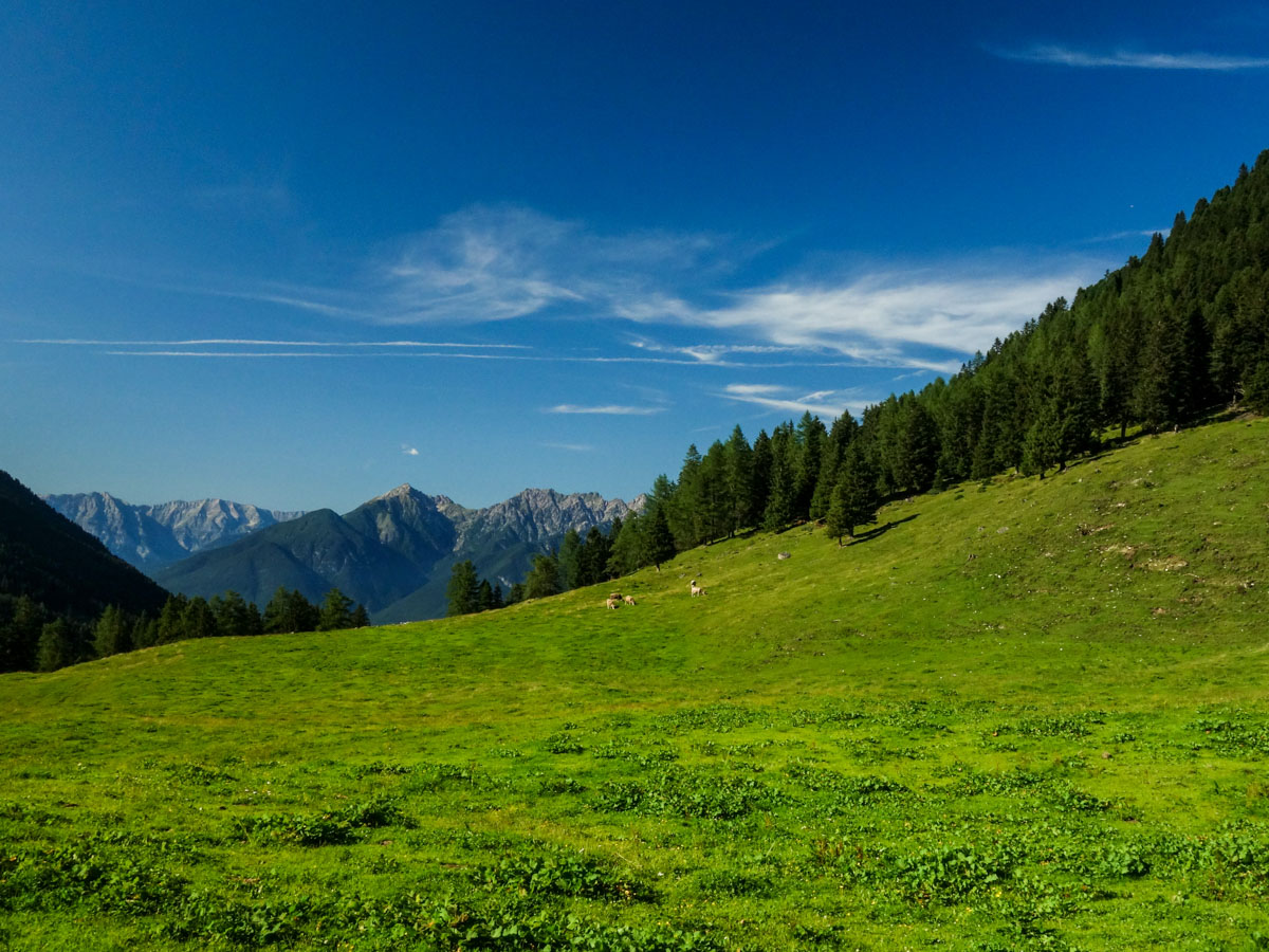 Meadow on the Kemater Alm Hike in Innsbruck, Austria