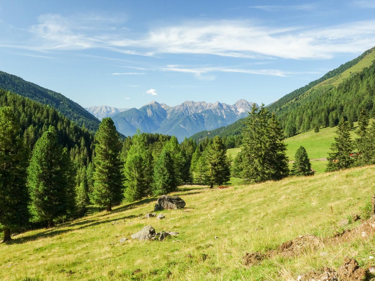 Meadows on the Schaflegerkogel Loop Hike in Innsbruck, Austria