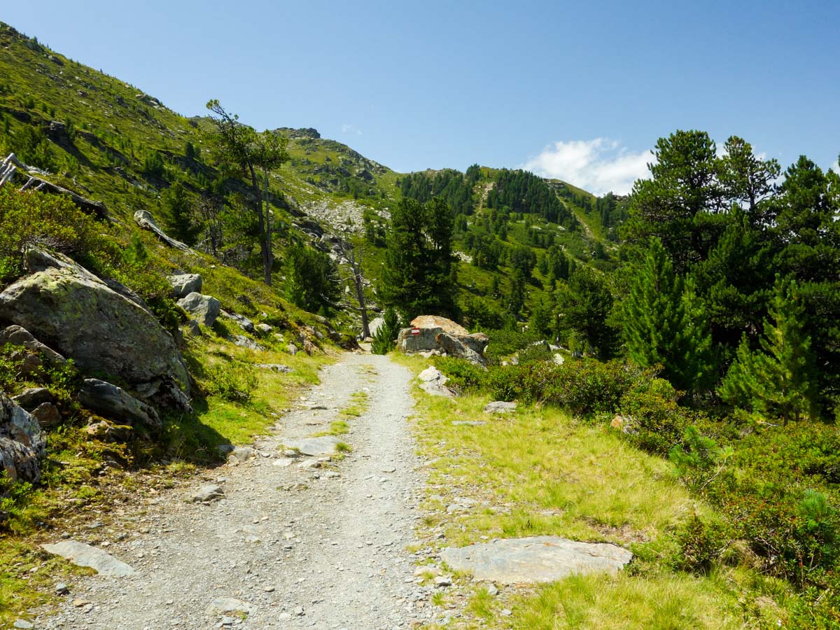 Trail of the Zirbenweg Hike in Innsbruck, Austria