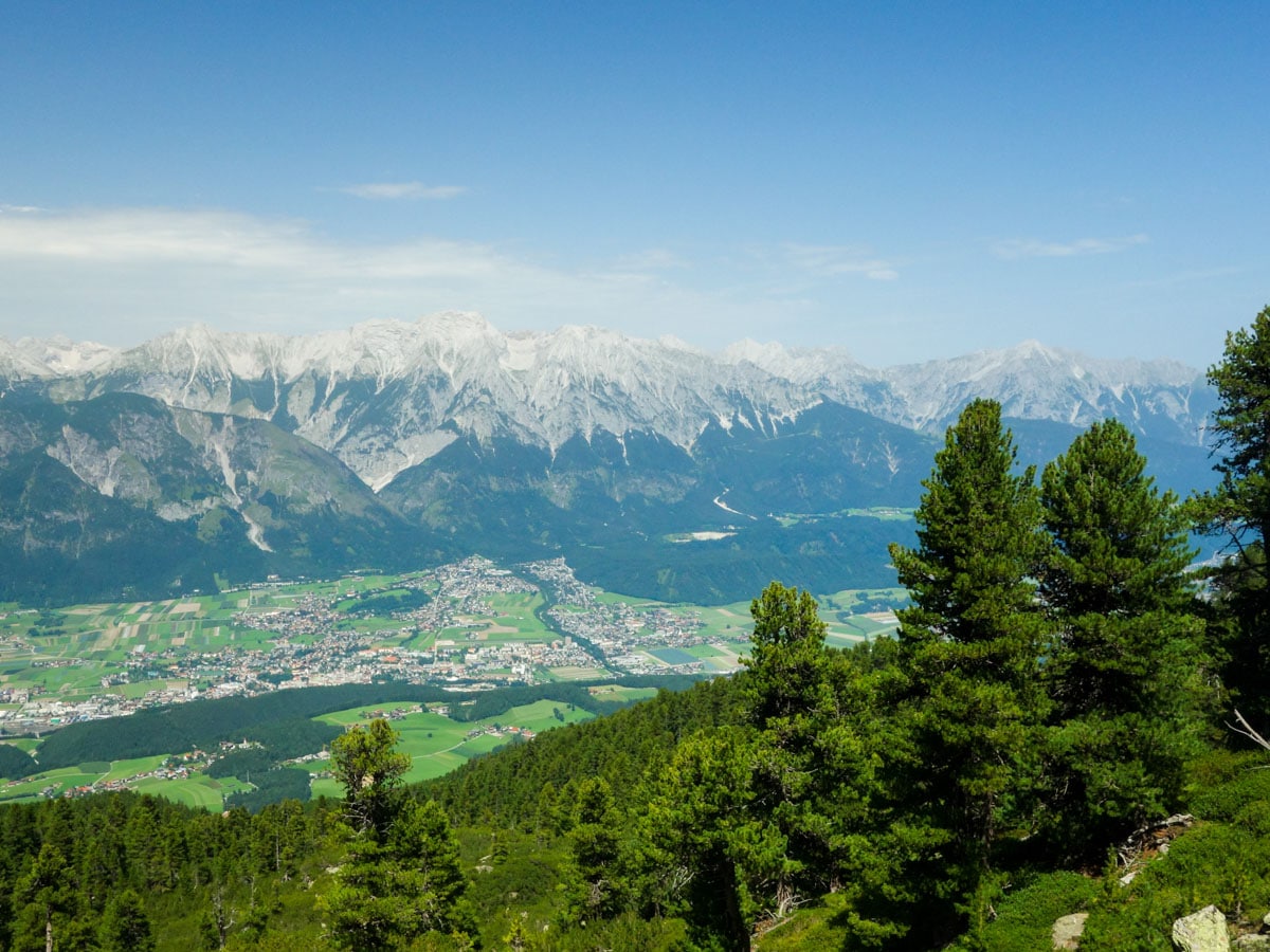 Looking through the forest on the Zirbenweg Hike in Innsbruck, Austria