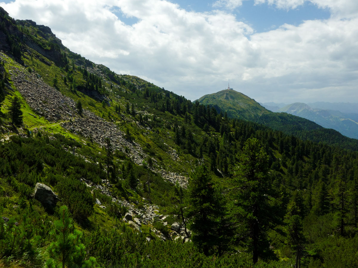 Trail on the Zirbenweg Hike in Innsbruck, Austria