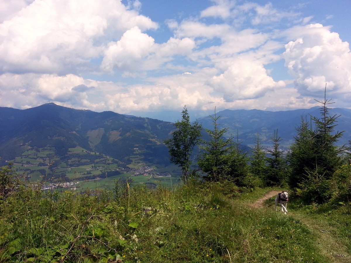 Heli's Hut on the Maiskogel Forest Route Hike in Zell am See - Kaprun, Austria