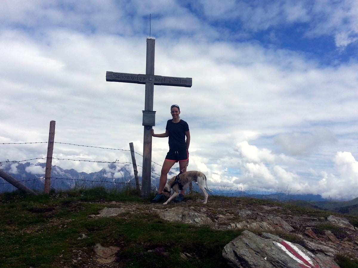 Peak on the Schwalbenwand & Schönwieskopf Hike in Zell am See - Kaprun, Austria