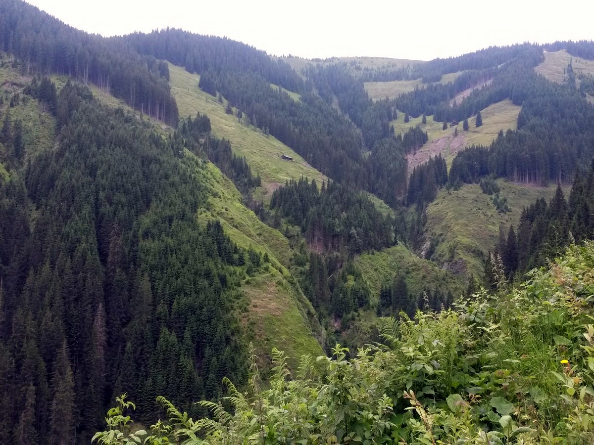 View of the valley from the Pinzgau Hut Loop Hike in Zell am See - Kaprun, Austria