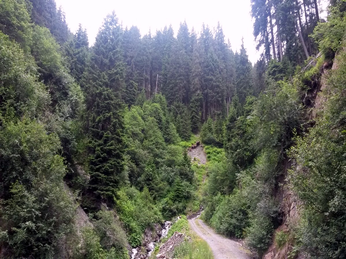 Trail towards waterfall on the Pinzgau Hut Loop Hike in Zell am See - Kaprun, Austria