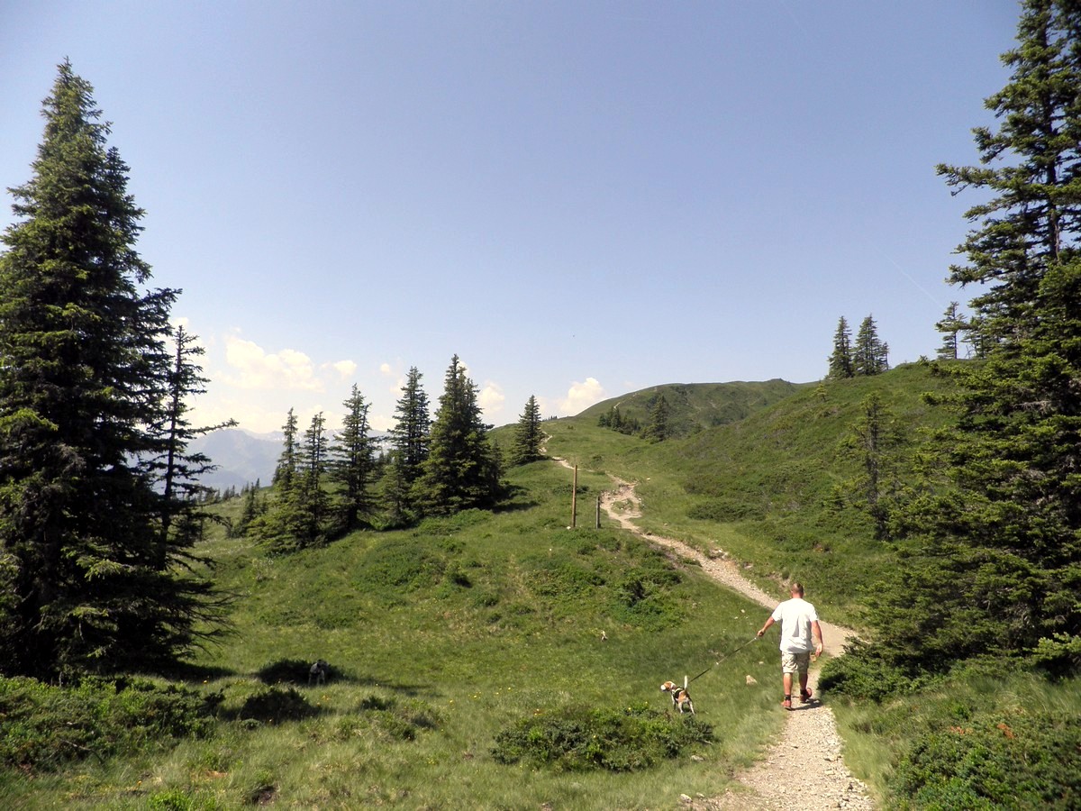 Trail to Schmittenhöhe in Zell am See