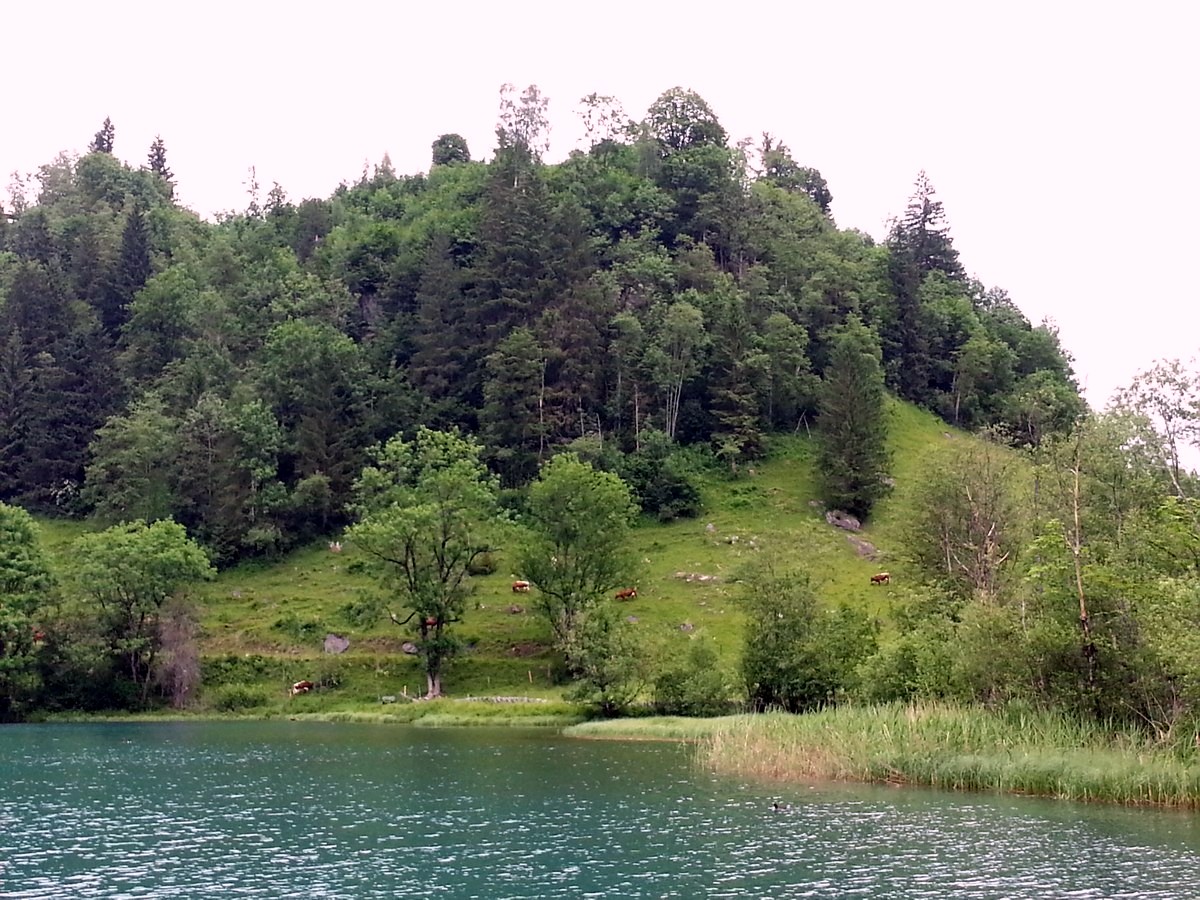 Lakeshore on the Klammsee & Schneckenreither Hike in Zell am See - Kaprun, Austria