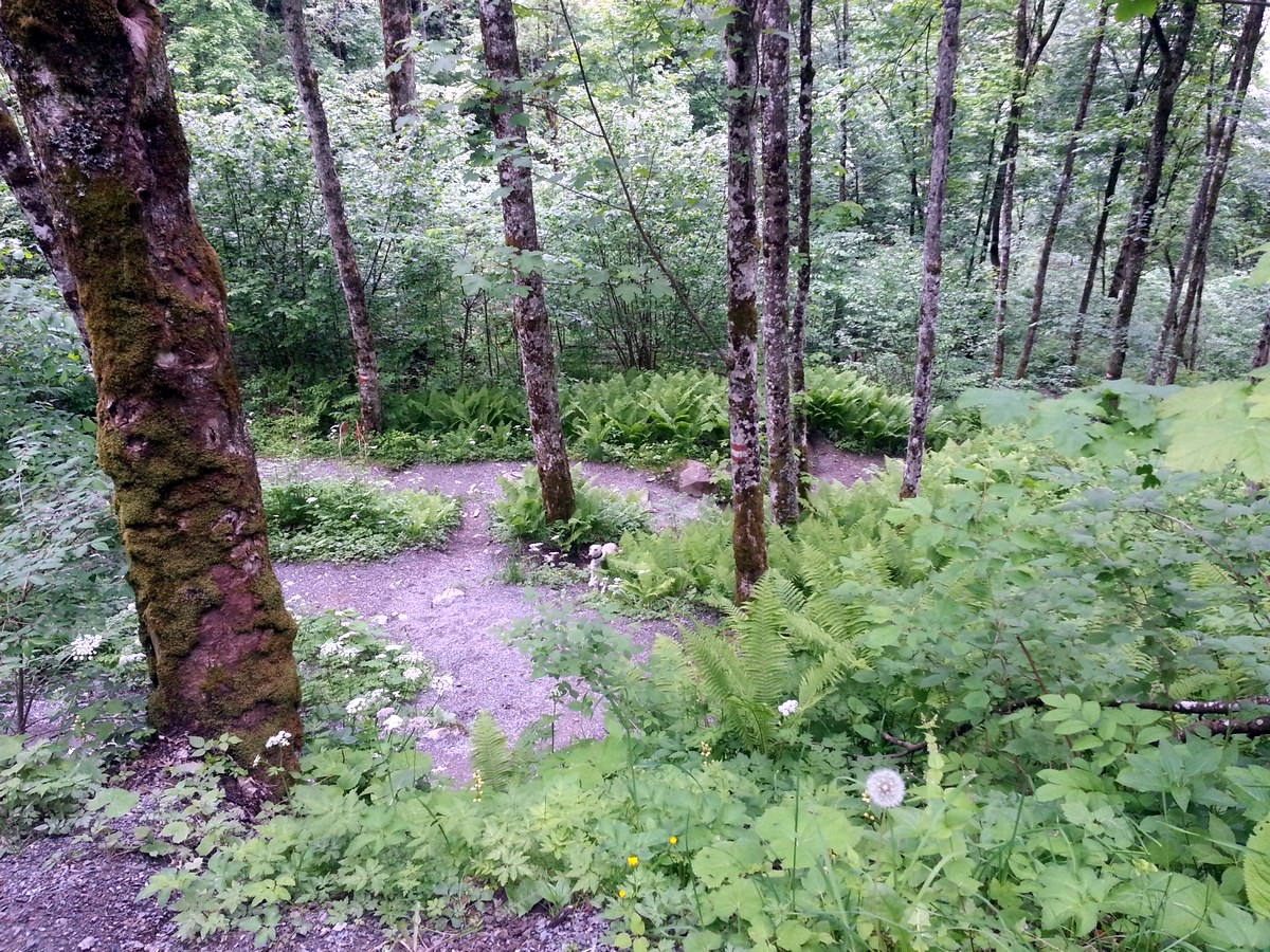 Trail of the Klammsee & Schneckenreither Hike in Zell am See - Kaprun, Austria