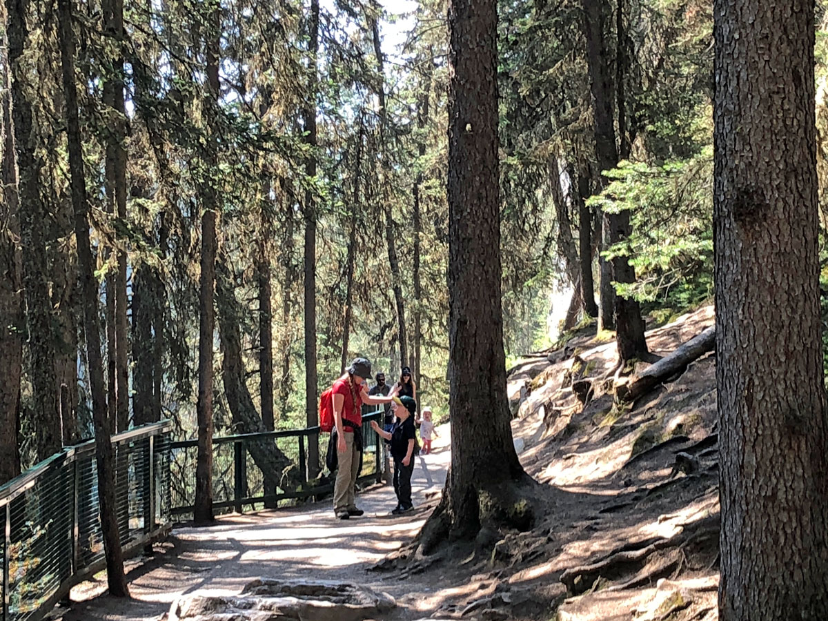 Family hike on the Johnston Canyon Hike near Banff, the Canadian Rockies