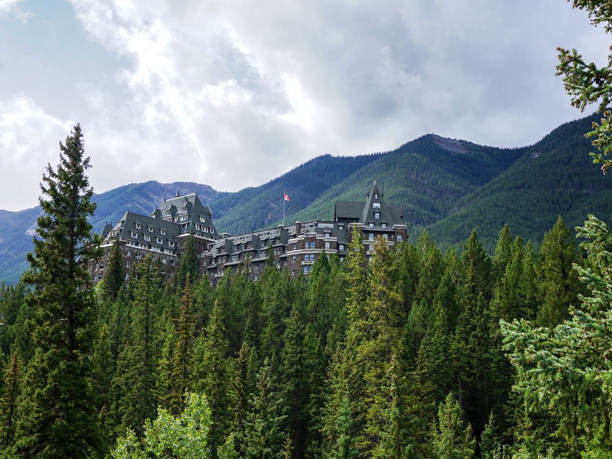 Forest at the Banff Bow River to Bow Falls to Banff Springs Hike in Banff, Canadian Rocky Mountains