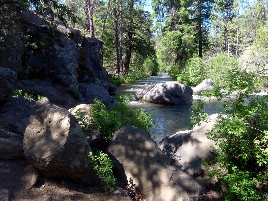 Whychus River Trail is a great hike near Bend, Oregon