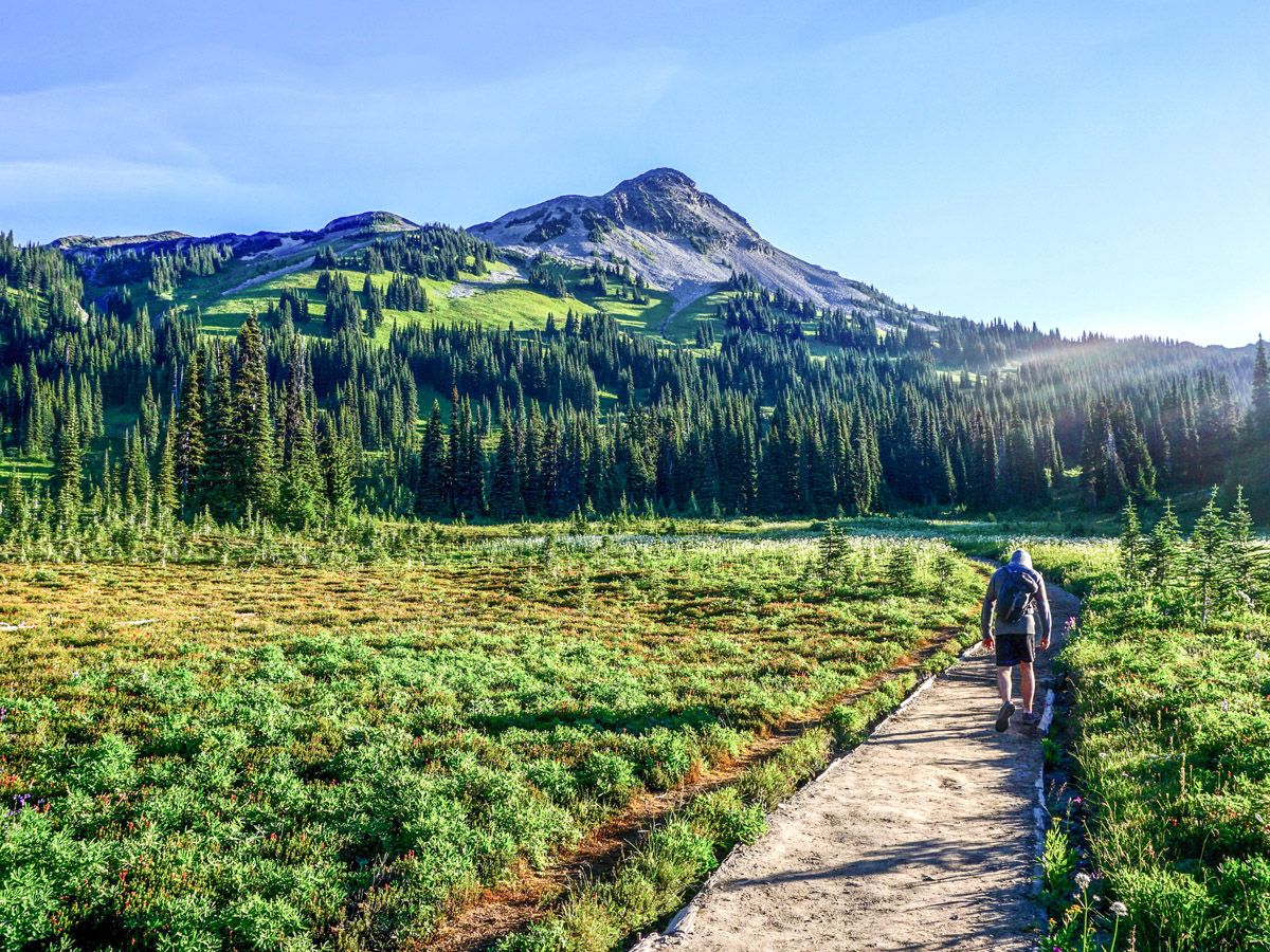 Man hiking at Black Tusk Hike in Whistler