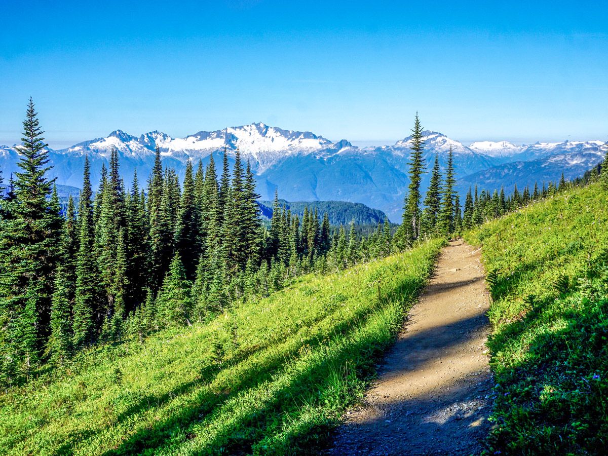 Hiking trail at Black Tusk Hike in Whistler