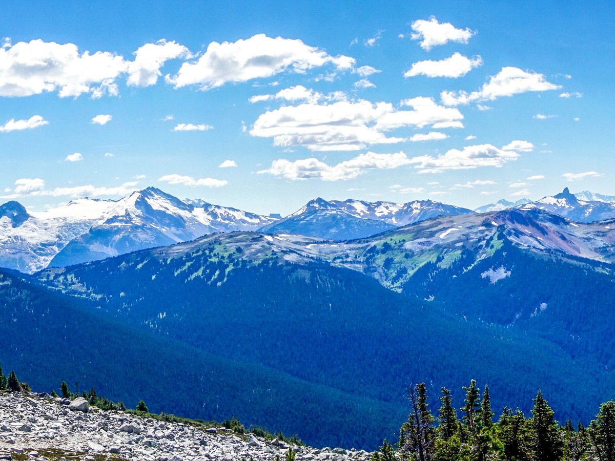 Mountain at Blackcomb Meadows Hike in Whistler