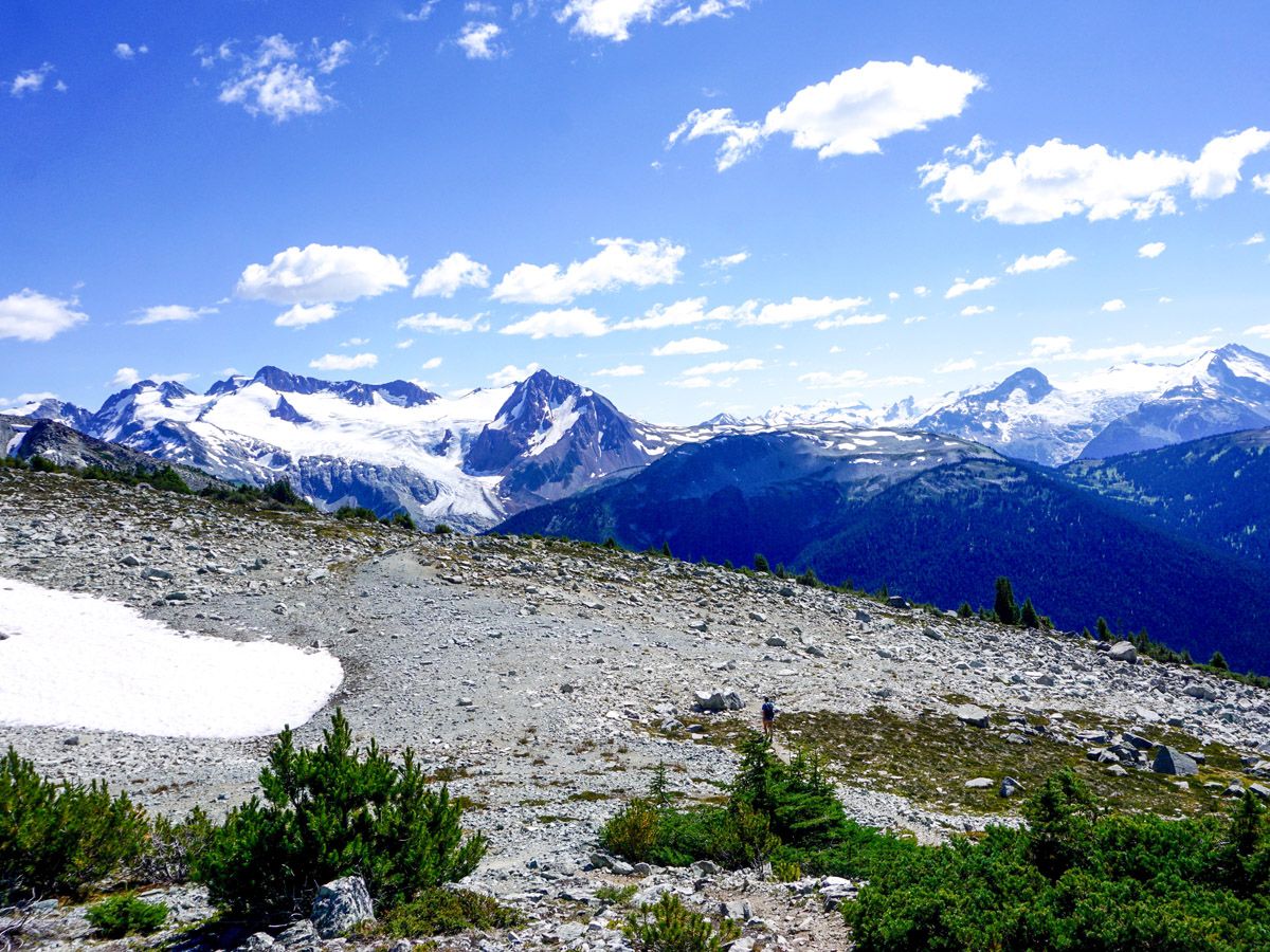 Hiking trail at Blackcomb Meadows Hike in Whistler