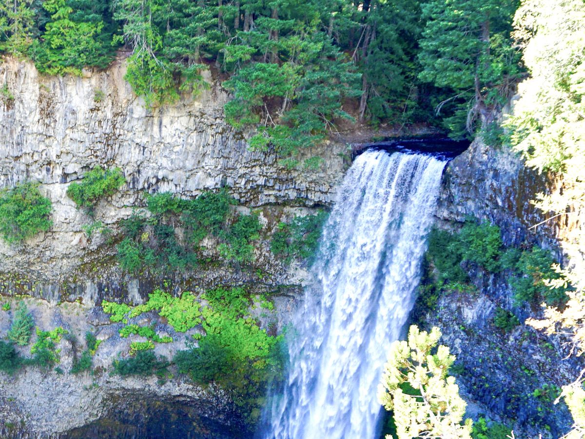 Trail views of the Brandywine Falls Hike in Whistler, Canada