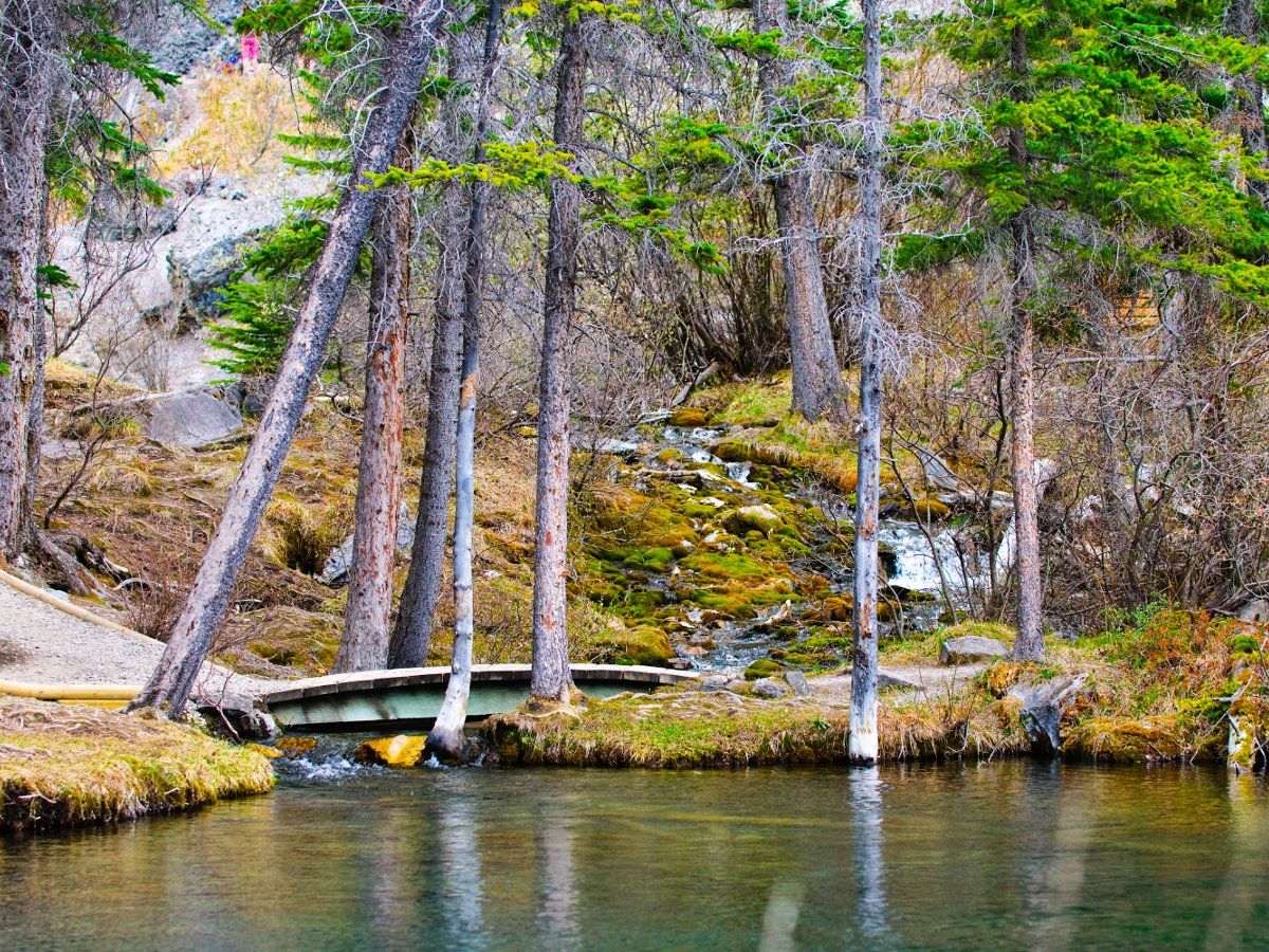 Bridge on the Grassi Lakes Circuit Hike in Canmore, the Canadian Rockies