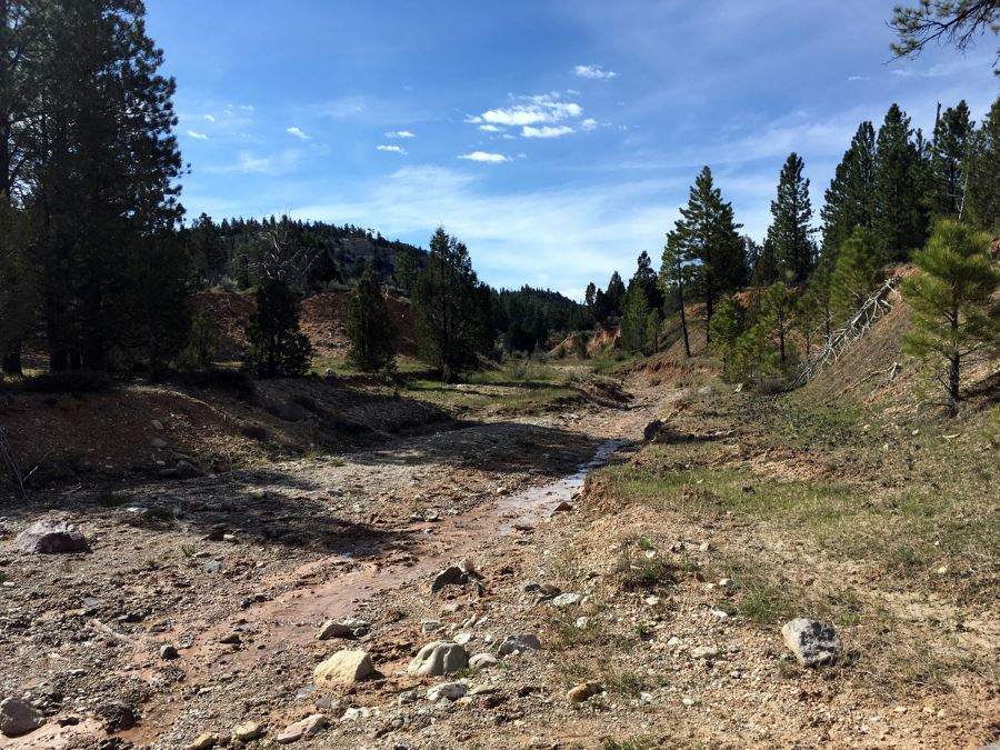 Cassidy Trail shows the best of Bryce Canyon in Utah