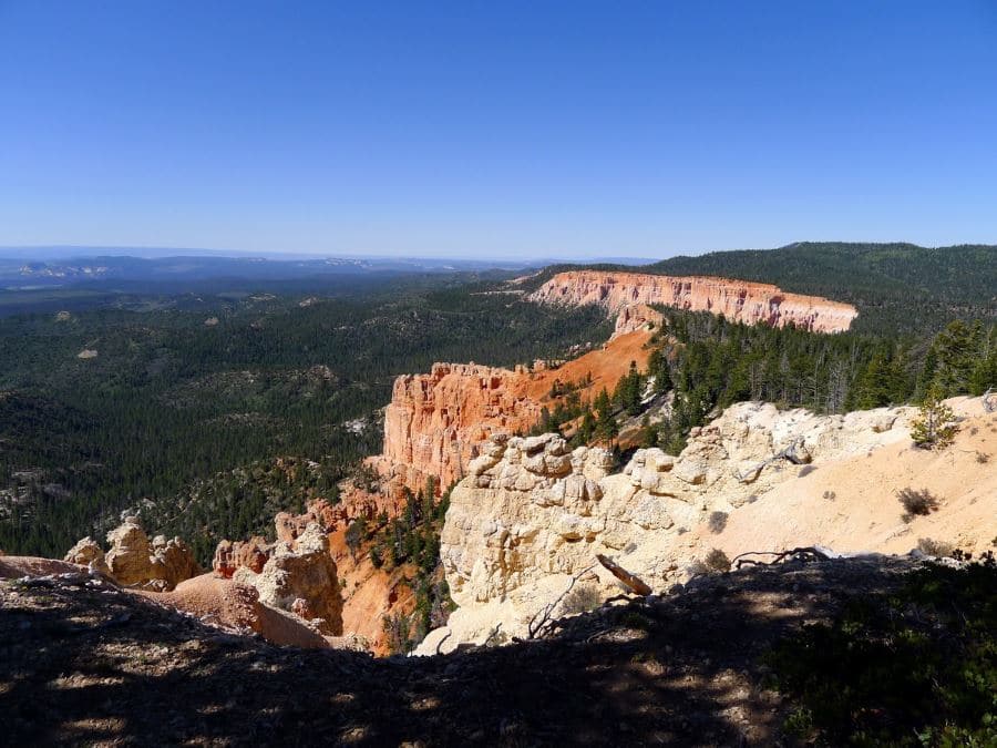 You can see red cliffs of the canyon while on Riggs Springs Loop hike in Bryce Canyon in Utah