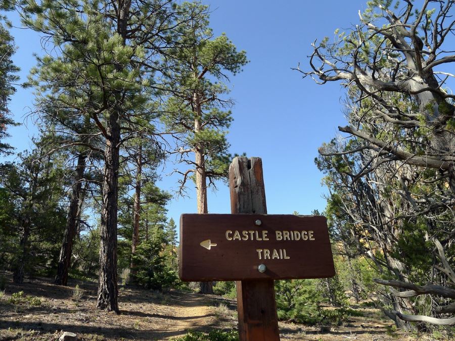 Golden Wall Loop trail is a great hike in Bryce Canyon in Utah