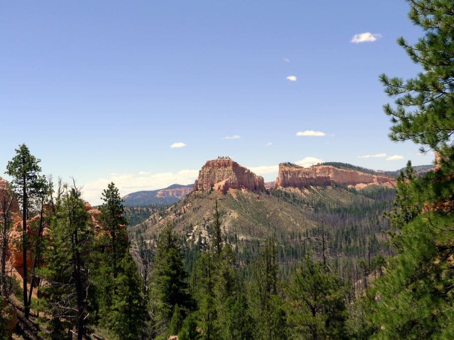 Swamp Canyon Loop trail has beautiful rock formations along the route