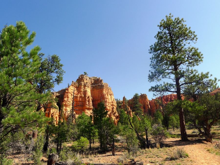 Hoodoo trail in Bryce Canyon in Utah