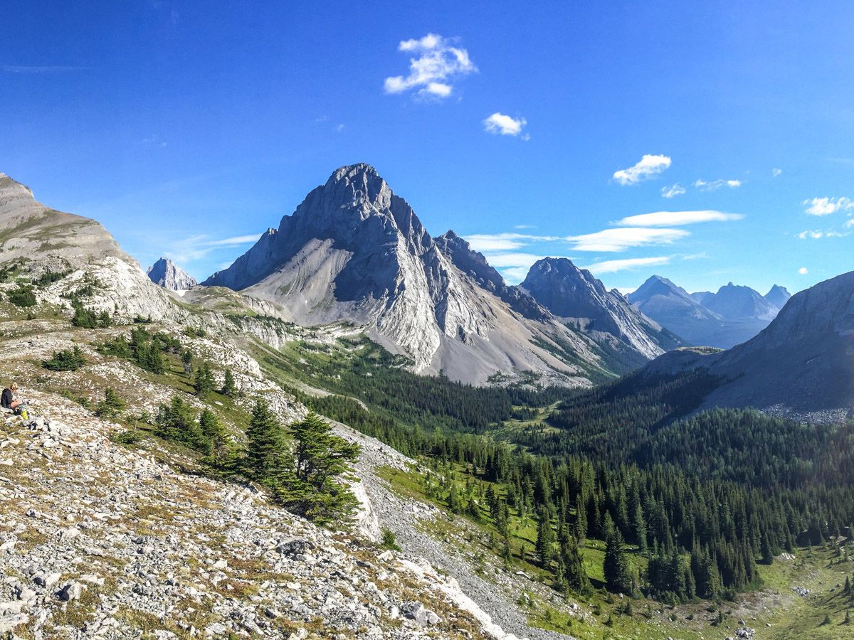 Burstall Pass trail is one of the best larch hikes in Alberta