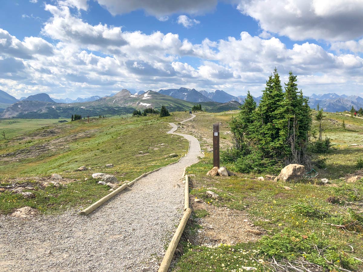 Trail of the Citadel Pass Hike in Banff National Park