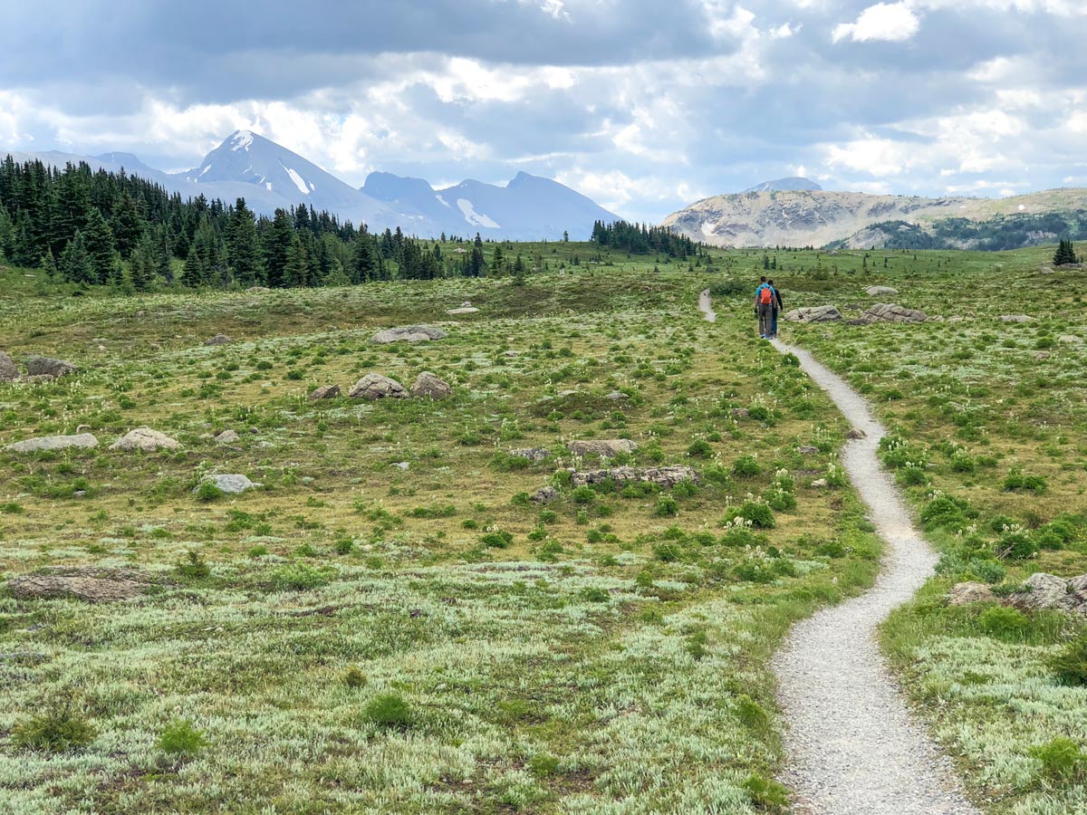 Expansive views on the Citadel Pass Hike in Banff National Park