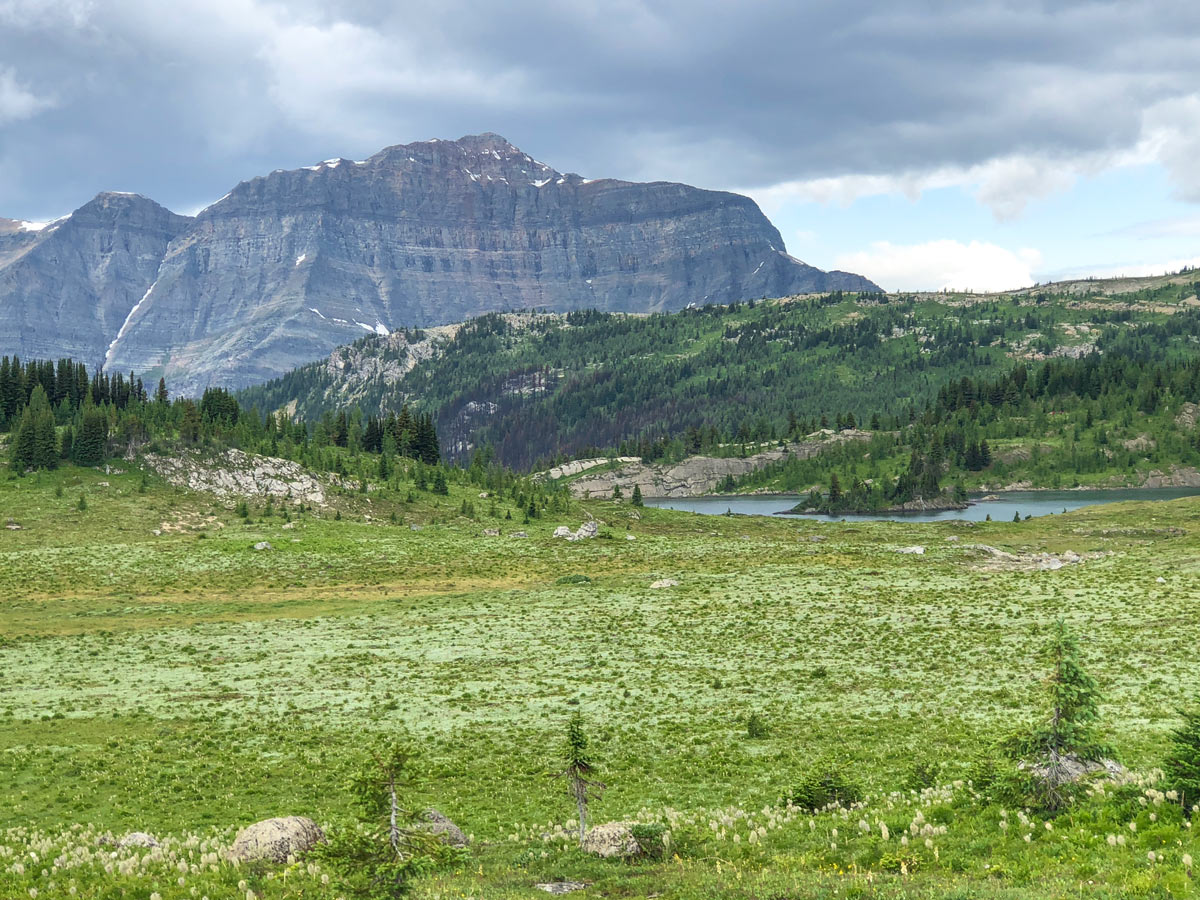 Beautiful views of the Citadel Pass Hike in Banff National Park