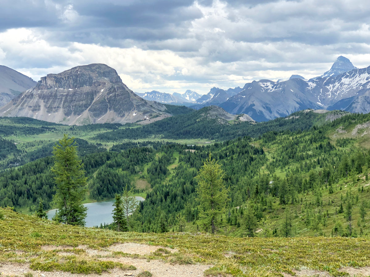 Howard Douglas Lake with Assiniboine on the background on the Citadel Pass Hike in Banff National Park