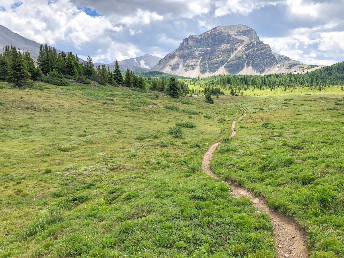 Citadel Pass Hike in Banff National Park has amazing views