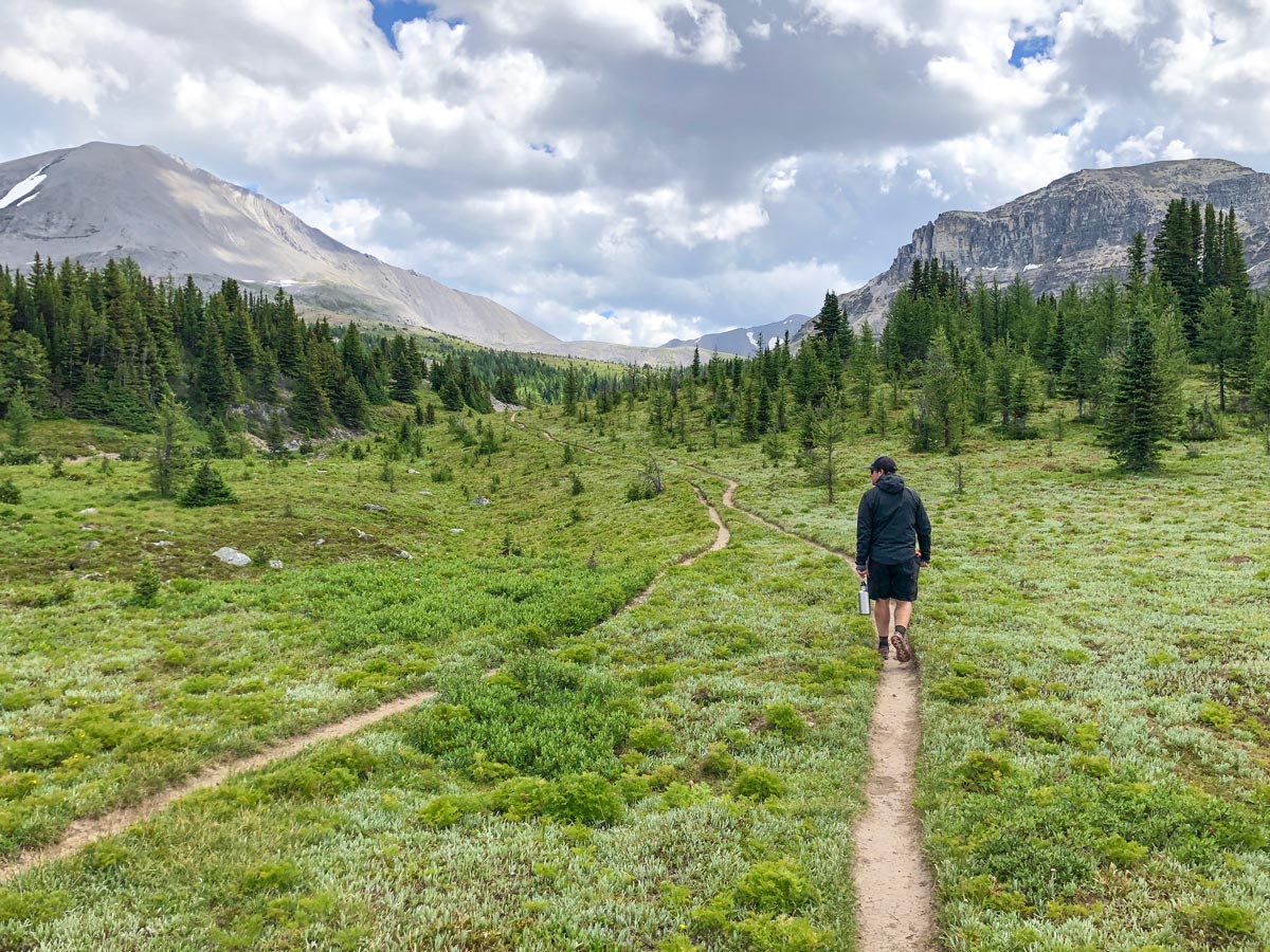 Easy part of the Citadel Pass Hike in Banff National Park