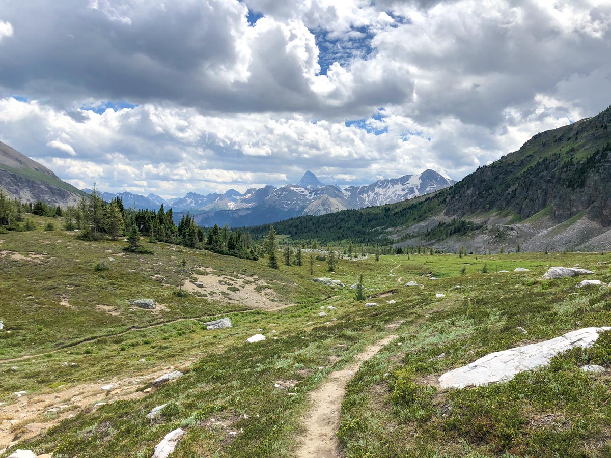 View from the top of the Citadel Pass Hike in Banff National Park