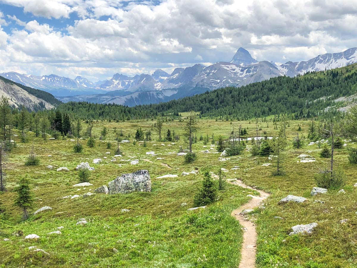 Beautiful scenery from the Citadel Pass Hike in Banff National Park