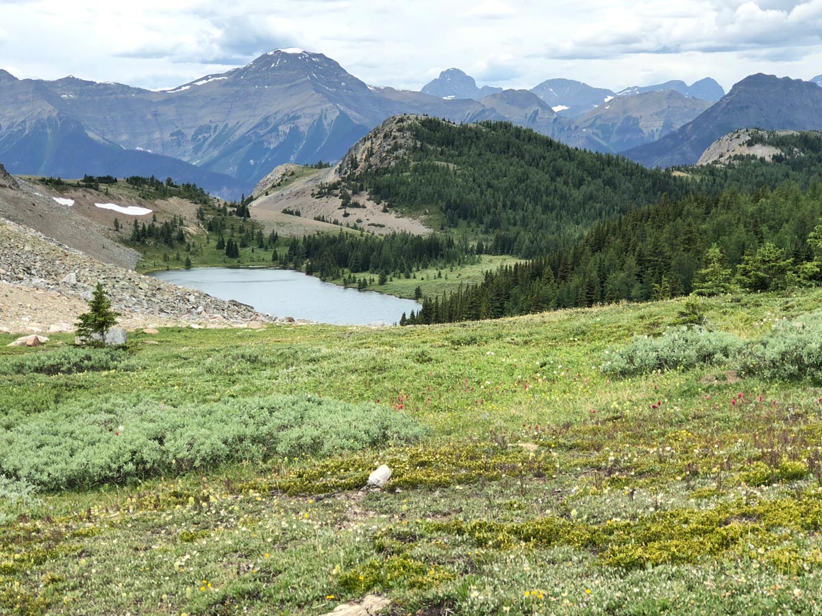 Beautiful lake on the Citadel Pass Hike in Banff National Park