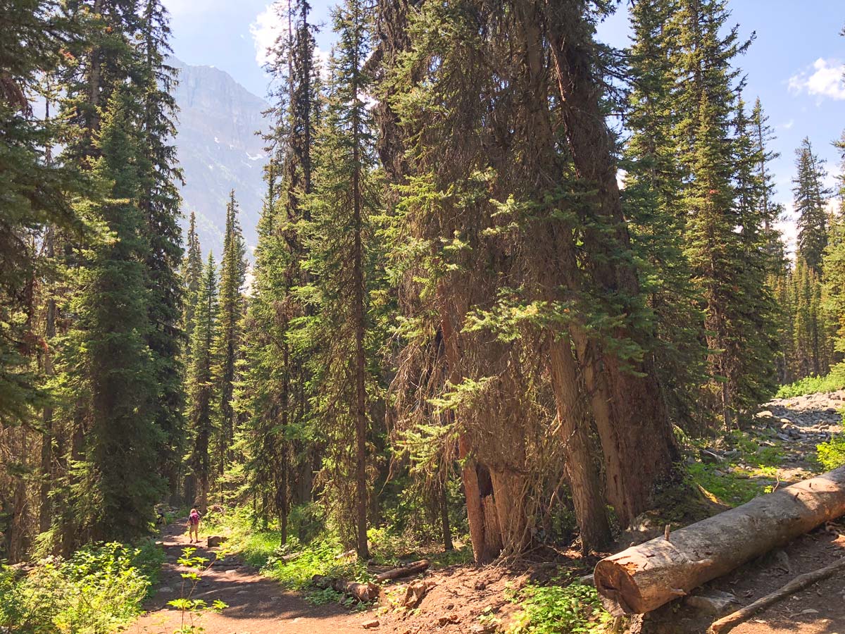 Approaching the rock slide on the Boom Lake Hike near Banff, Alberta