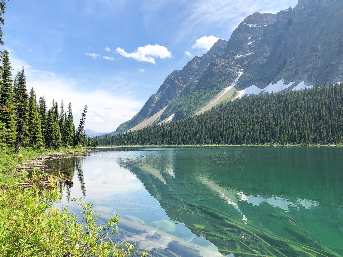 Views back on the Boom Lake Hike near Banff, Alberta