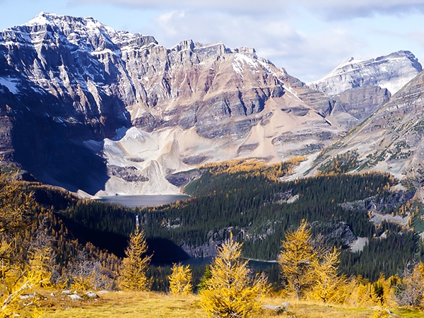 Trail of the Healy Pass hike in Banff National Park, Alberta