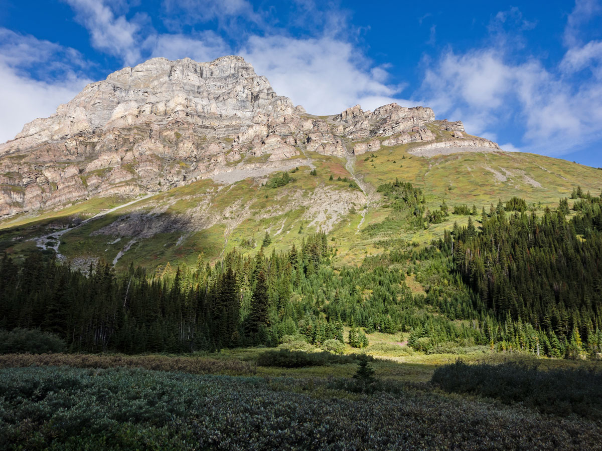 Meadows near Bourgeau Lake on the Bourgeau Lake / Harvey Lake / Harvey Pass Hike in Banff, Alberta