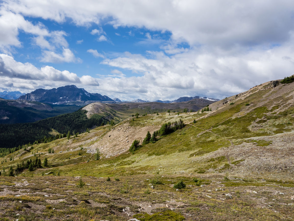 The meadows beyond the pass on the Bourgeau Lake / Harvey Lake / Harvey Pass Hike in Banff, Alberta