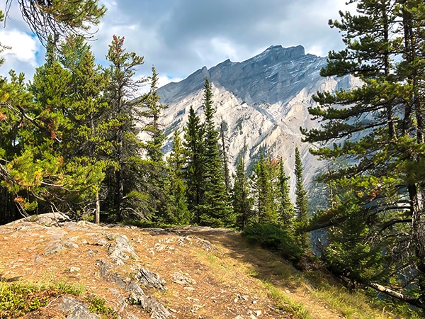 Scenery from the Stoney Squaw hike in Banff National Park, Alberta