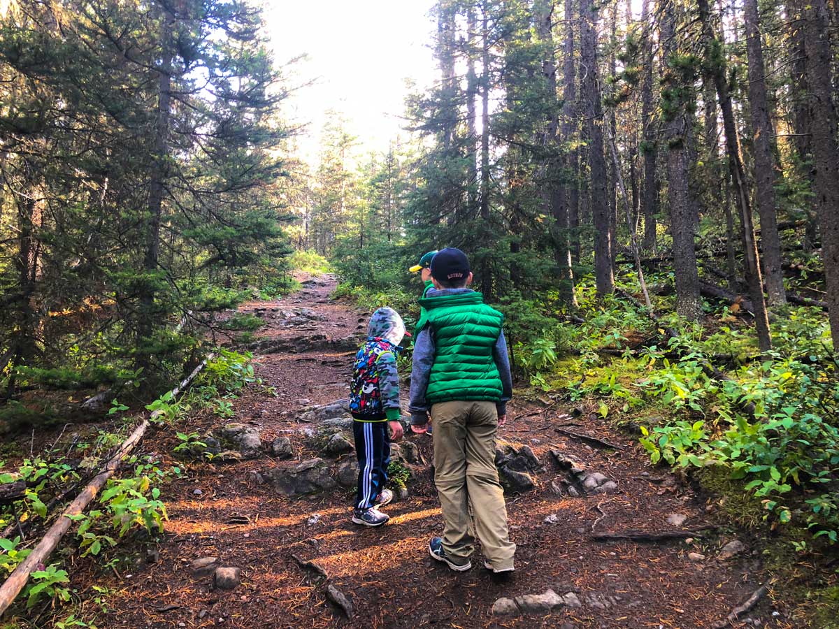 Walking through the forest on the Stoney Squaw Hike near Banff, Alberta