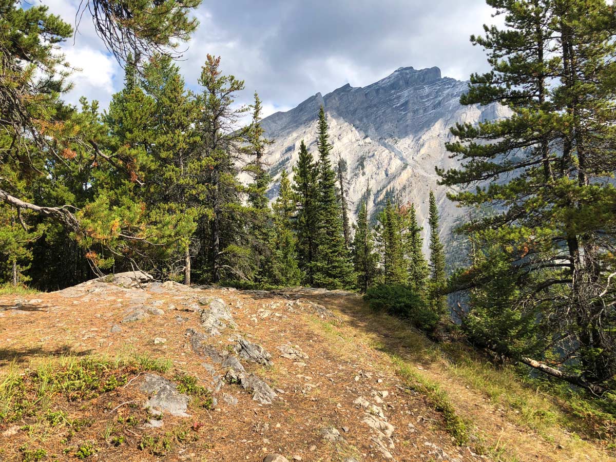 Great views from the Stoney Squaw Hike near Banff, Alberta