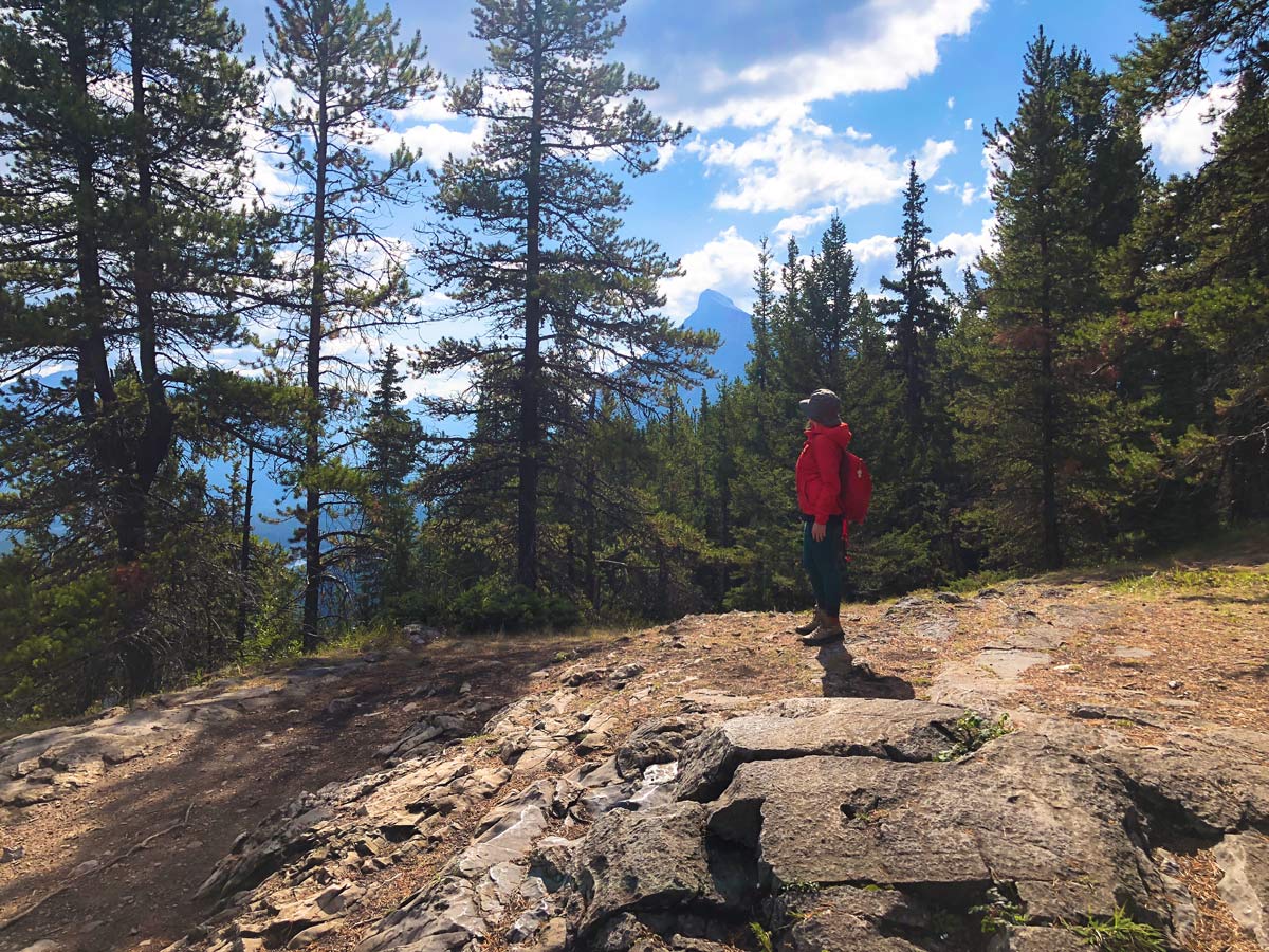 Trail of the Stoney Squaw Hike near Banff, Alberta