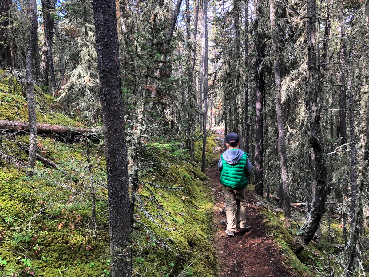 Narrow part of the trail on the Stoney Squaw Hike near Banff, Alberta