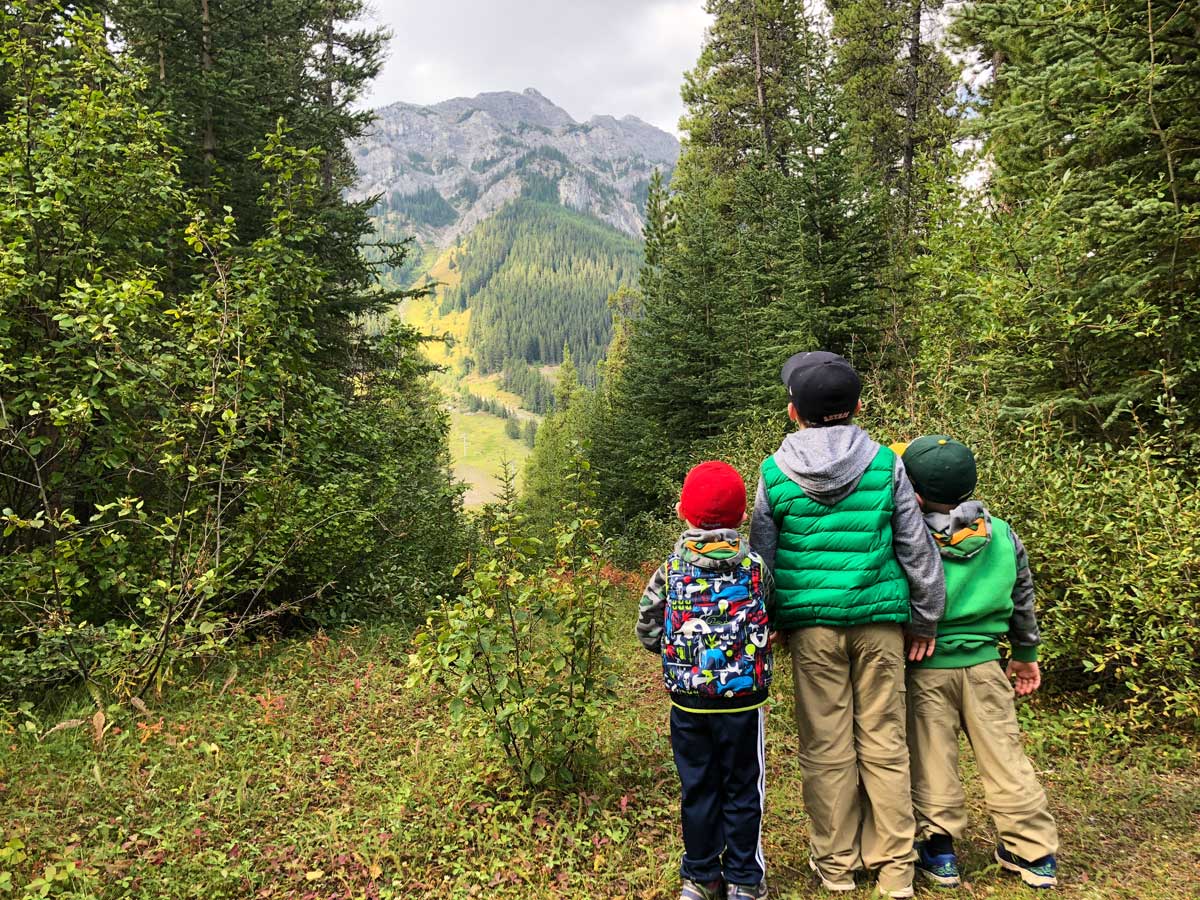 View of Mt Norquay on the Stoney Squaw Hike near Banff, Alberta