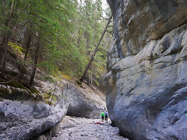 Trail of the Grotto Canyon hike in Canmore, the Canadian Rockies