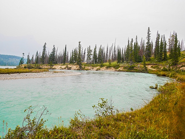 Trail of the Warden Lake hike on Icefields Parkway, the Canadian Rockies