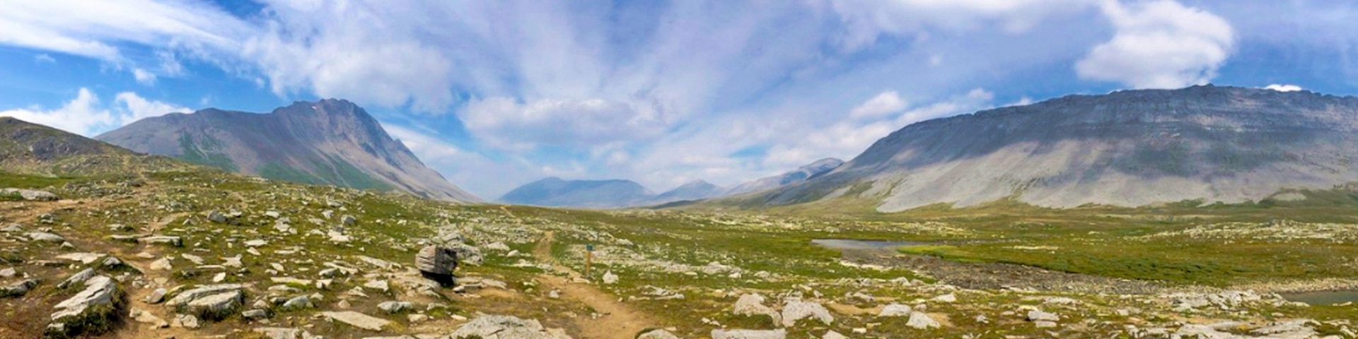 Panorama of the Wilcox Pass hike on Icefields Parkway, the Canadian Rockies